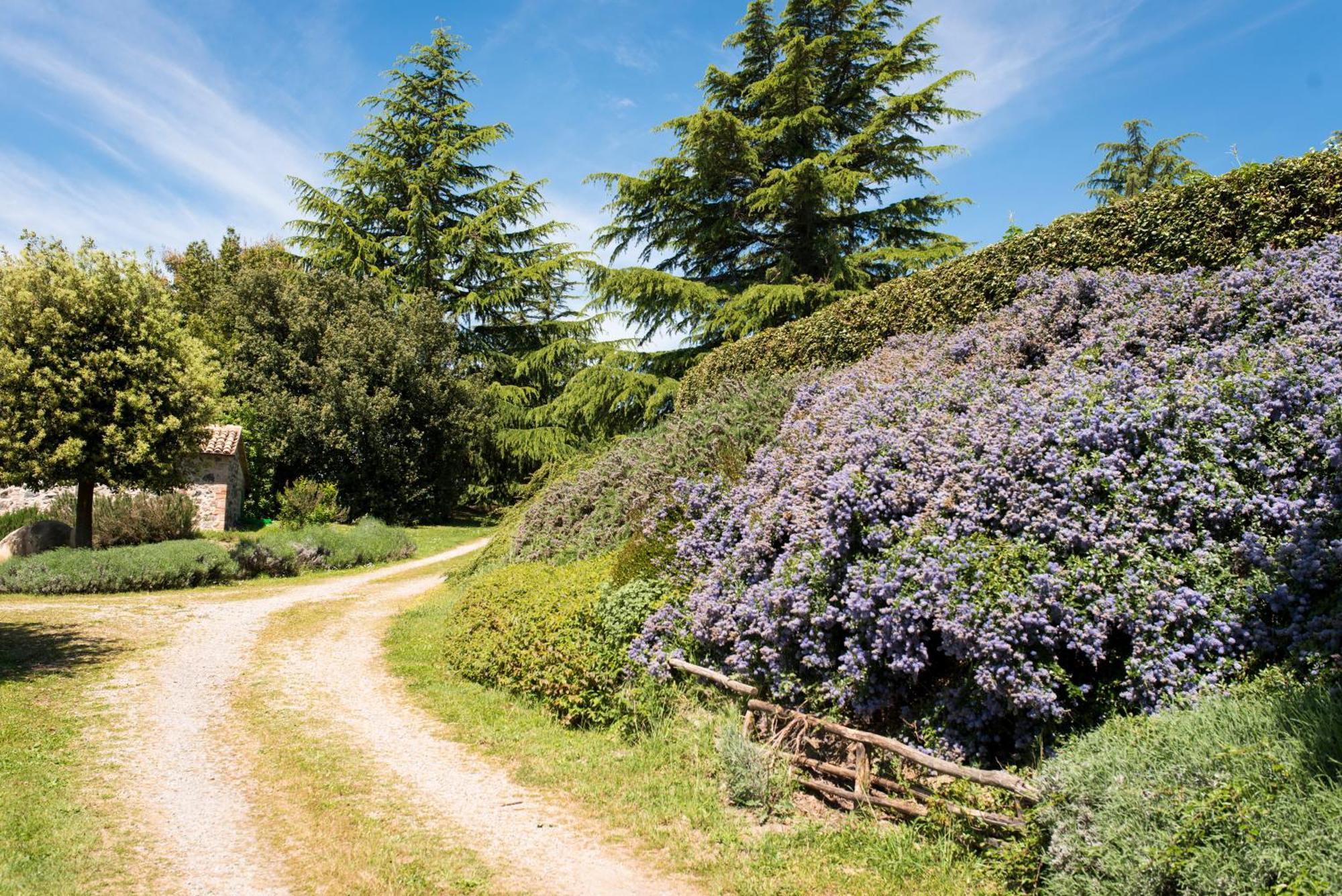 Agri Relais Il Poderaccio Di Bolsena Exteriör bild