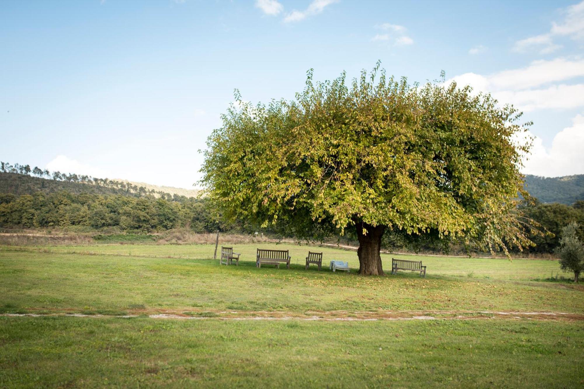 Agri Relais Il Poderaccio Di Bolsena Exteriör bild