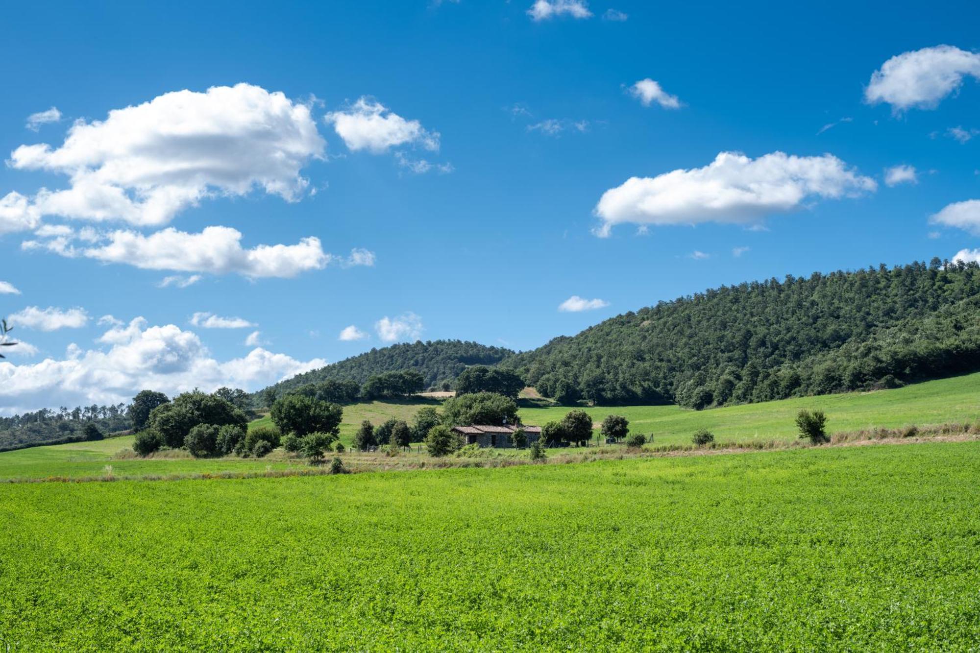 Agri Relais Il Poderaccio Di Bolsena Exteriör bild