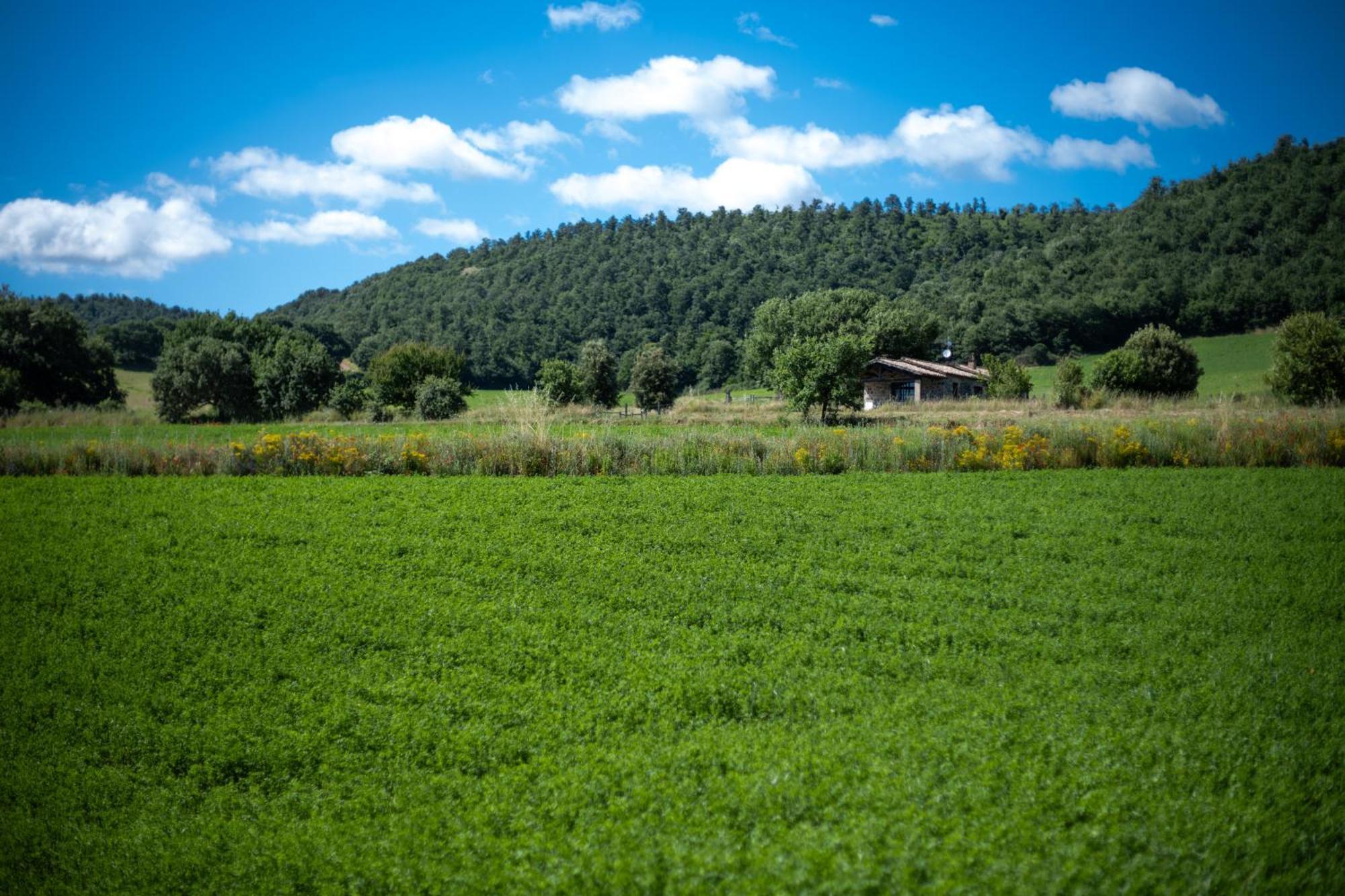 Agri Relais Il Poderaccio Di Bolsena Exteriör bild