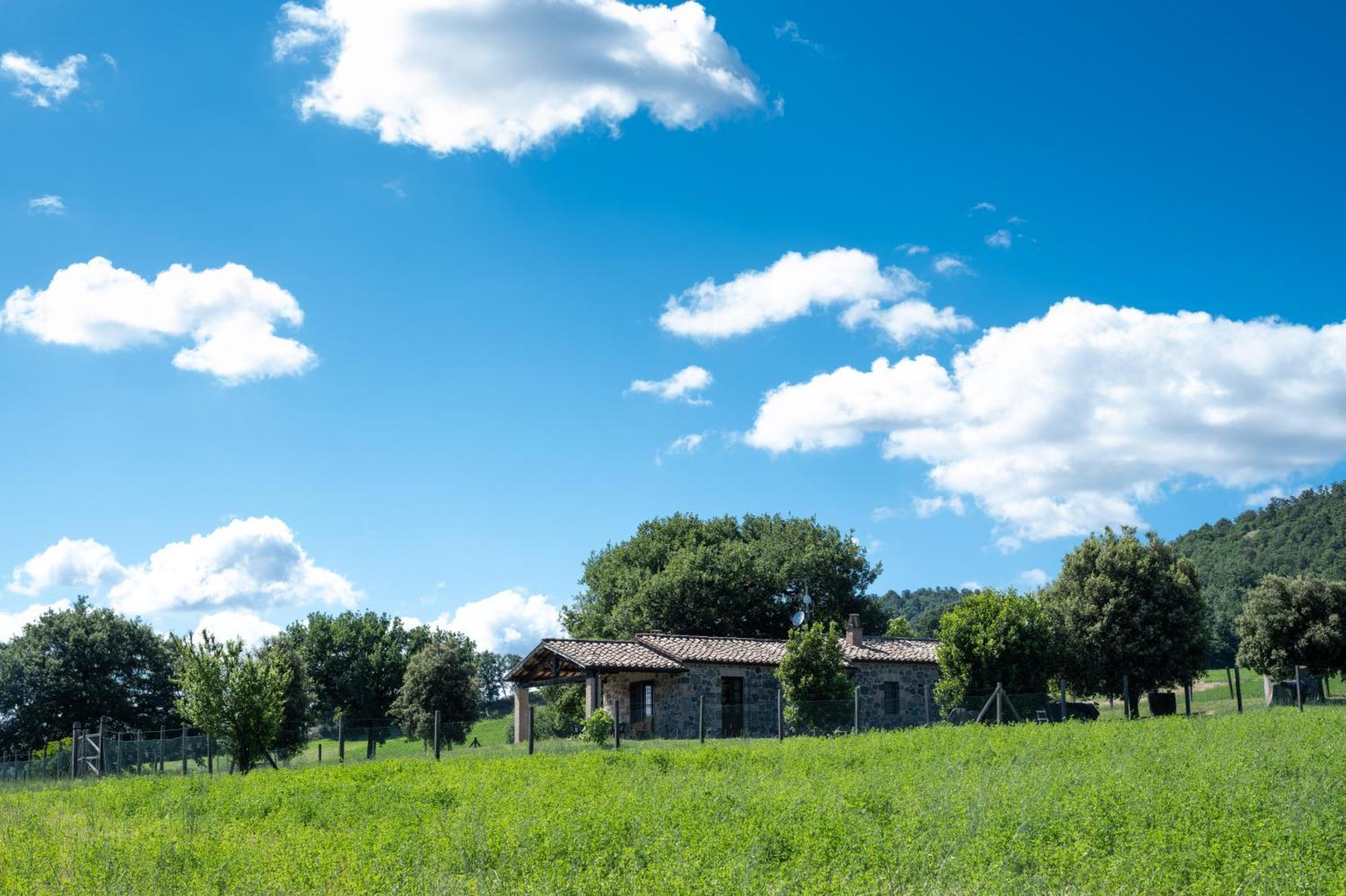 Agri Relais Il Poderaccio Di Bolsena Exteriör bild