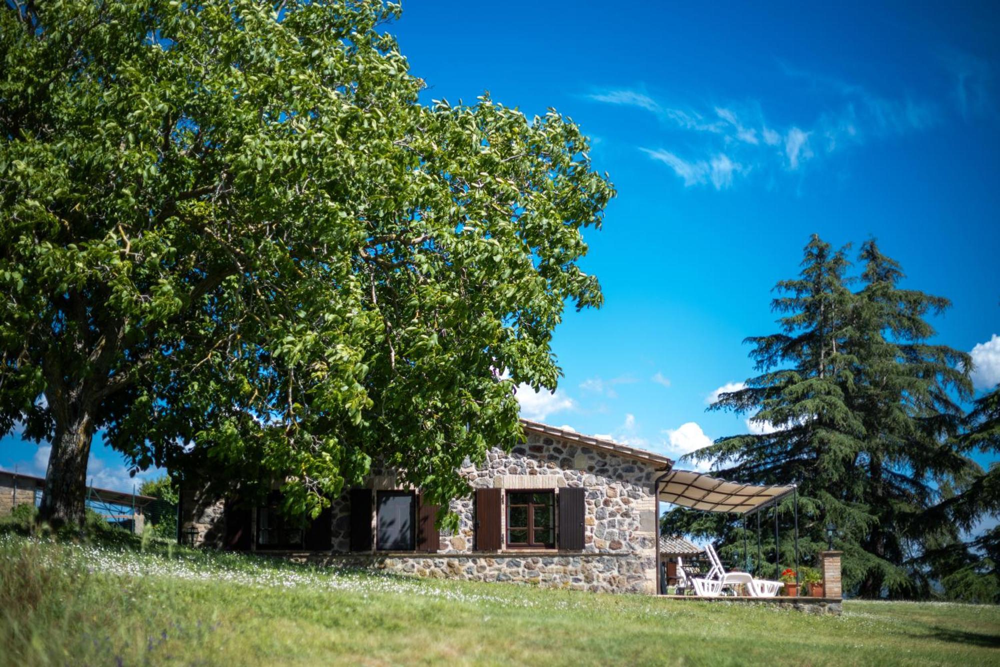 Agri Relais Il Poderaccio Di Bolsena Exteriör bild